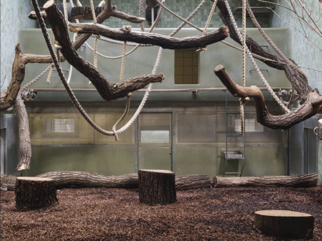 Tommaso Bonaventura – 100 marchi. Berlino 2019https://www.exibart.com/repository/media/2019/10/Tommaso-Bonaventura-da-100-marchi-Berlino-2019-2019-1068x801.jpg