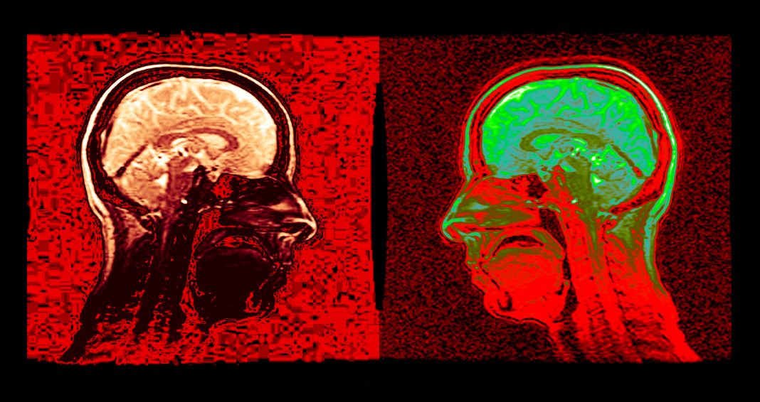 fabrizio-borelli-roma