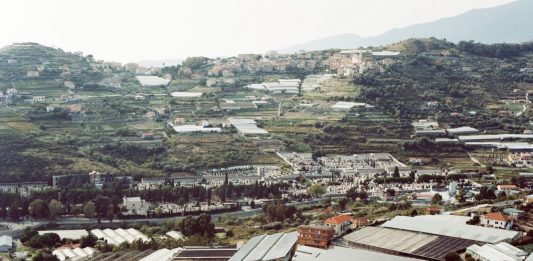 Gaia Cambiaggi, Invernaderos | PRIMO PIANO di Palazzo Grillo