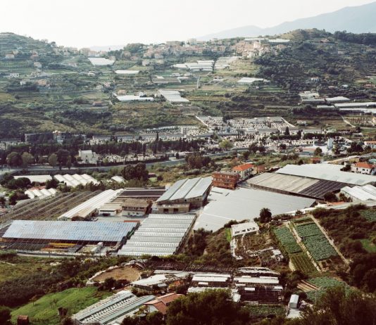 Gaia Cambiaggi, Invernaderos | PRIMO PIANO di Palazzo Grillo