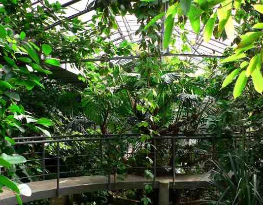 All’Orto Botanico di Roma, arte e ambiente in dialogo per il Laboratorio Oceanico