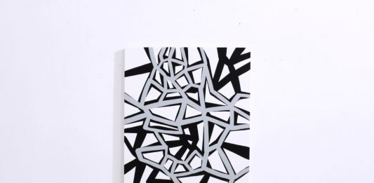 A Terni, la nuova stagione espositiva di Crac Gallery ricomincia dalla linea