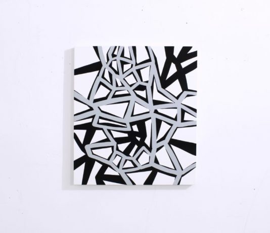 A Terni, la nuova stagione espositiva di Crac Gallery ricomincia dalla linea