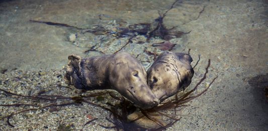 Chi sono i tre finalisti della seconda edizione del MAXXI BVLGARI Prize