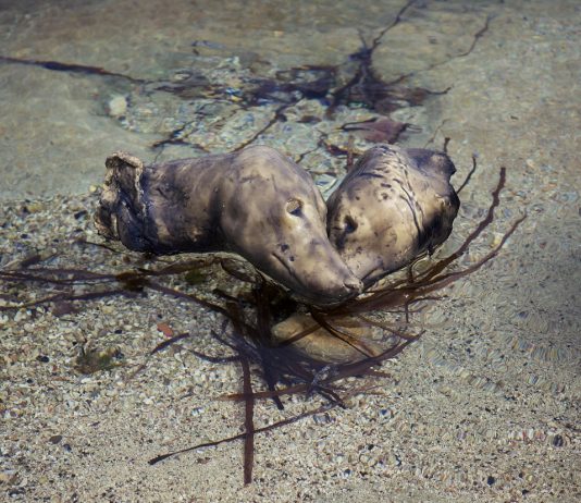 Chi sono i tre finalisti della seconda edizione del MAXXI BVLGARI Prize