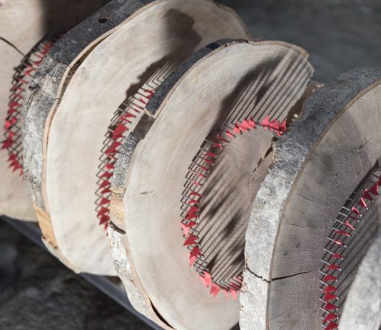 RUFA e RAW presentano ami, imprese, sogni e paure di un giovane artista