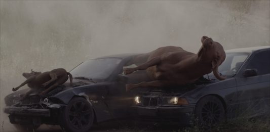 Nico Vascellari Horse Power | Videocittà Maxxi Horse Power (courtesy Nico Vascellari)