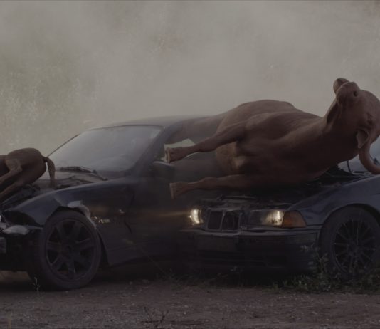 Nico Vascellari Horse Power | Videocittà Maxxi Horse Power (courtesy Nico Vascellari)