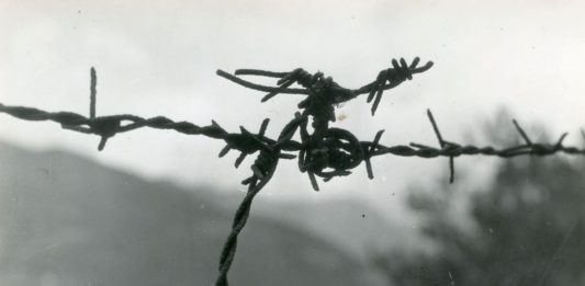 Scoprendo le fotografie di Emilio Scanavino, in mostra a Parma Un'opera di Emilio Scanavino in mostra a Parma