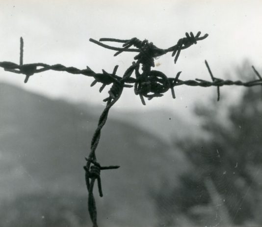 Scoprendo le fotografie di Emilio Scanavino, in mostra a Parma Un'opera di Emilio Scanavino in mostra a Parma