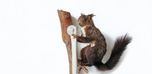 Quegli istinti animali degli esseri umani, allo Spazio Rivoluzione di Palermo