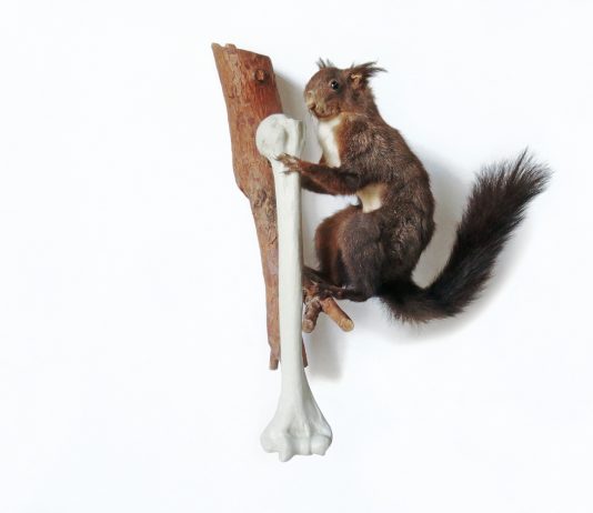 Quegli istinti animali degli esseri umani, allo Spazio Rivoluzione di Palermo