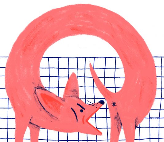 exibart.talks: intervista ad Alice Piaggio Alice Piaggio, Monday