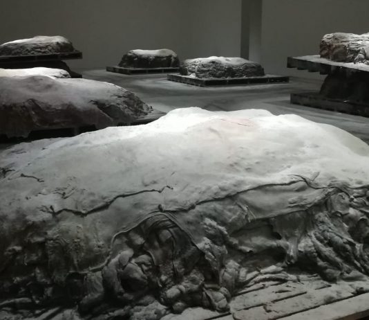 Intervista a Berlinde De Bruyckere, alla Fondazione Sandretto Re Rebaudengo