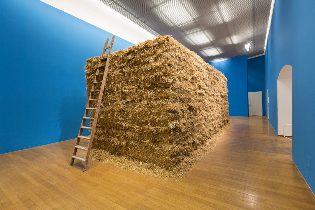 Cesare-Viel_più-nessuno-da-nessuna-parte-photo-Nico-Covre-Vulcano-15 cesare viel pac milano