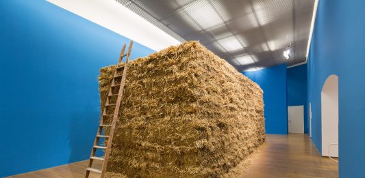 Cesare Viel, Nobody Anywhere Anymore | Pac, Padiglione d’Arte Contemporanea cesare viel pac milano