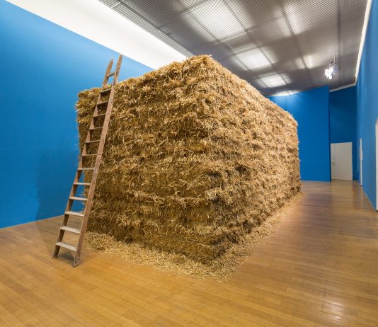 Cesare Viel, Nobody Anywhere Anymore | Pac, Padiglione d’Arte Contemporanea cesare viel pac milano