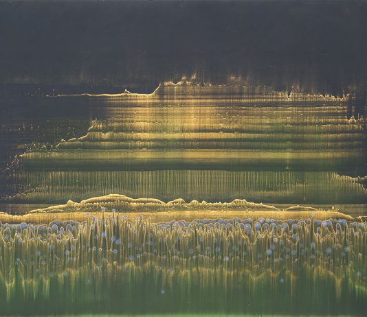 Tra pittura e natura: Matteo Montani alla Galleria Bonomo di Roma