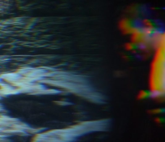 Al Volvo Studio Milano, gli Art Encounters partono dalla sostenibilità