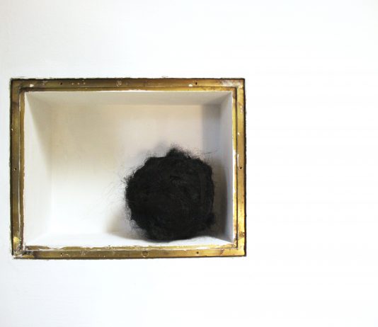 La vanità è una bolla: Anna Rose alla Fondazione Sensus di Firenze