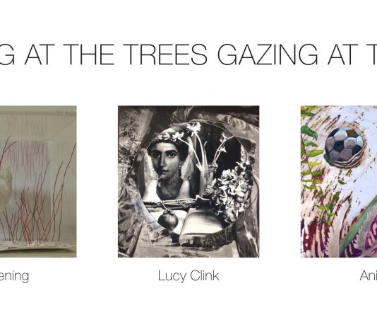 Marina Buening / Lucy Clink / Anita Guerra – Looking at the trees gazing at the sky
