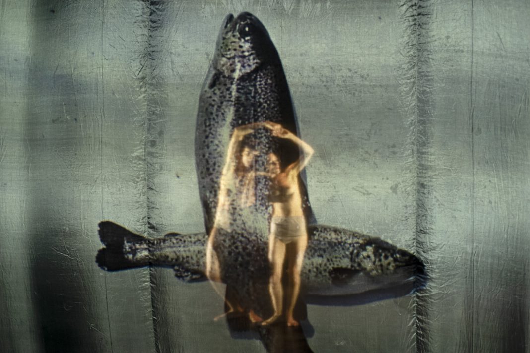 M19C6641 Abbondanza/Bertoni