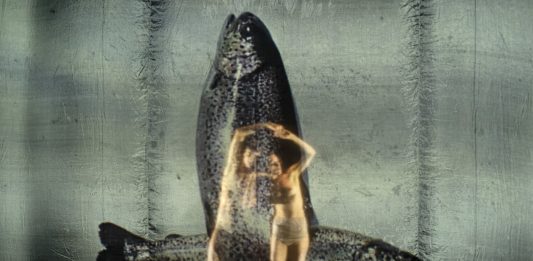 Pelléas e Mélisande: musica da vedere, danza da ascoltare Abbondanza/Bertoni