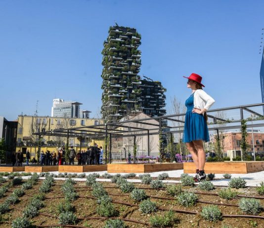 Milano Green City, con i primi mille alberi di ForestaMi