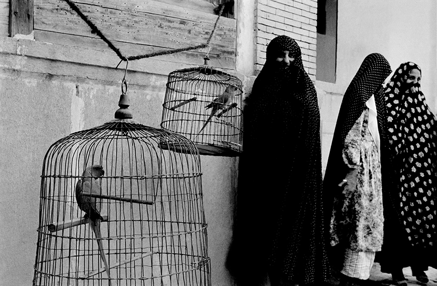 Iran. Shiraz. 1956. Veiled Muslim women and caged cockatoos (wives of one man).