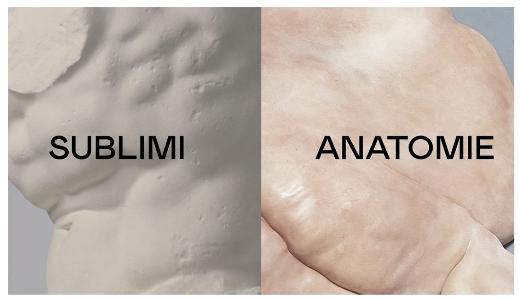 Sublimi anatomiehttps://www.exibart.com/repository/media/2019/11/anatomie-1068x616.jpg