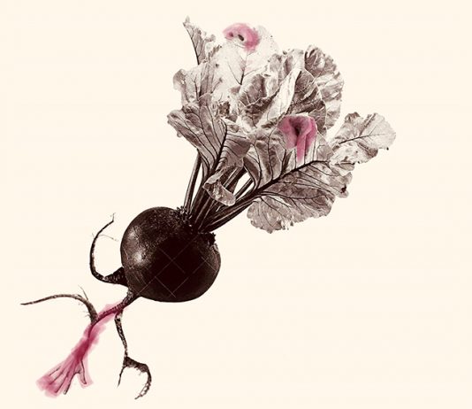 Storie di Rural Happening. Al Pav – Parco Arte Vivente arriva il progetto dedicato a Saluzzo