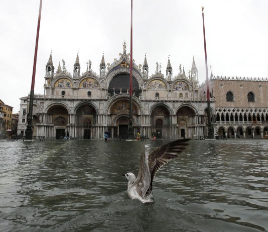 Emergenza maltempo per la cultura. Cosa possono fare i musei?