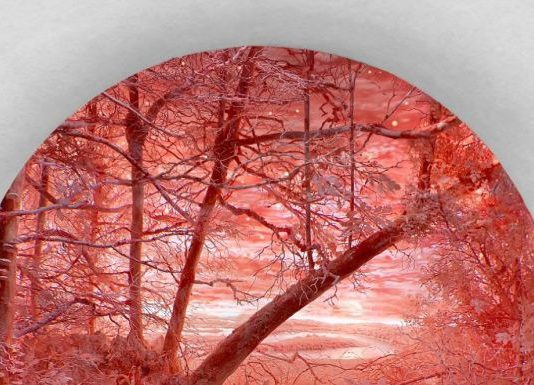 Patrick Jacobs – Nocturnes