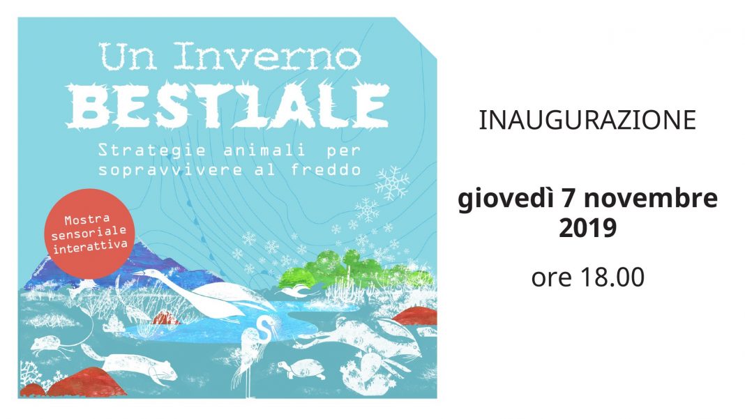 Reopening + Un inverno bestiale. Strategie animali per sopravvivere al freddohttps://www.exibart.com/repository/media/2019/11/post-1068x601.jpg