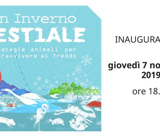 Reopening + Un inverno bestiale. Strategie animali per sopravvivere al freddo