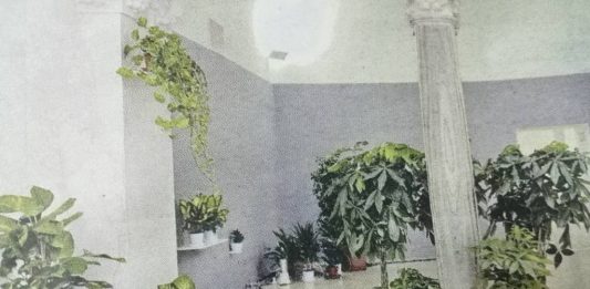 La natura dell’armonia, nei lavori di Zena el Khalil al Madre di Napoli