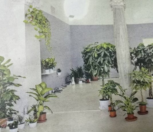 La natura dell’armonia, nei lavori di Zena el Khalil al Madre di Napoli