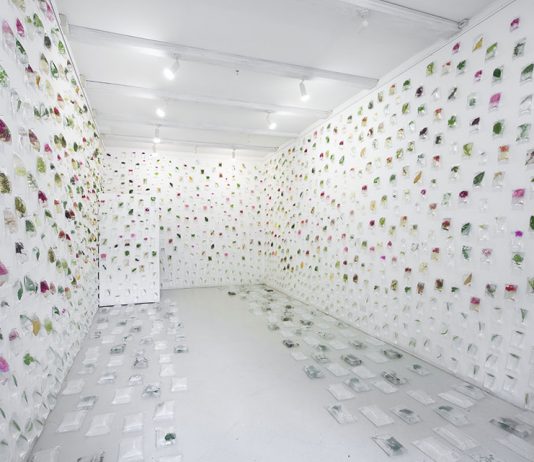 Pablo Mesa Capella – Aqua Botanica