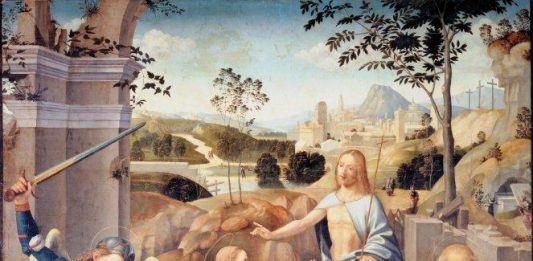 Raffaello e gli amici di Urbino raffaello