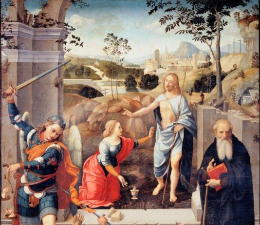 Raffaello e gli amici di Urbino raffaello