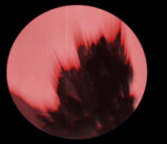 Carlos Casas a Bologna, tra Raum di Xing e MAMbo Carlos Casas, Krakatoa