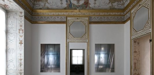 Tra artista e collezionista: Elisa Sighicelli incontra Cerruti, a Rivoli elisa sighicelli rivoli