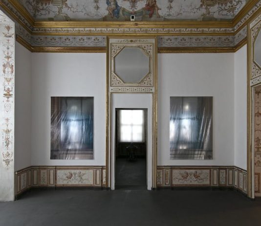 Tra artista e collezionista: Elisa Sighicelli incontra Cerruti, a Rivoli elisa sighicelli rivoli