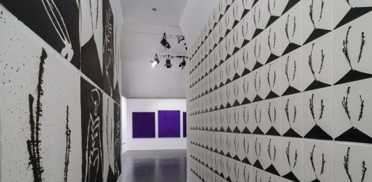 Pier Yves Le Duc, Erector Vesevo | Spazio Nea