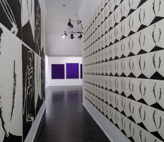 Pier Yves Le Duc, Erector Vesevo | Spazio Nea