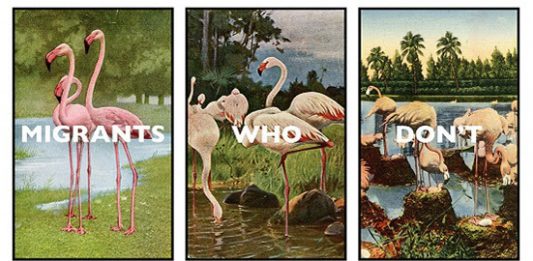 Opening 2020: le mostre al MAN di Nuoro, fino all’estate Man Nuoro 2020