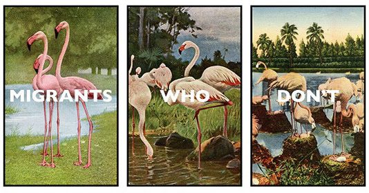 Opening 2020: le mostre al MAN di Nuoro, fino all’estate Man Nuoro 2020