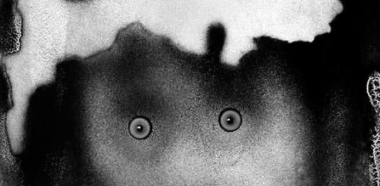 Allo Spazio Pasqualini di Venezia, l’eterno contemporaneo di Leonardo