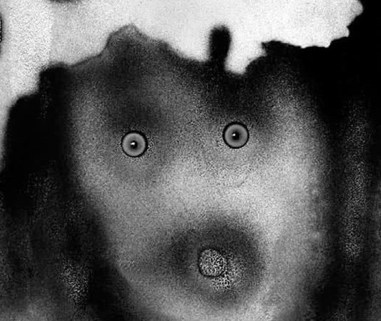 Allo Spazio Pasqualini di Venezia, l’eterno contemporaneo di Leonardo