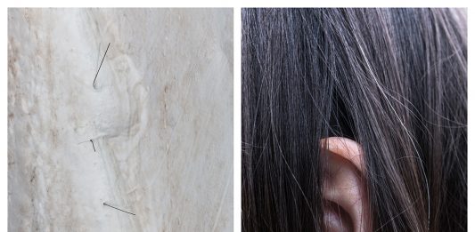 OpenHeArt: a Napoli, quattro laboratori per una mostra